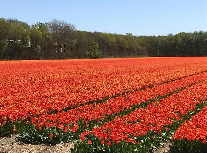 Kik En Bun Bed and breakfast