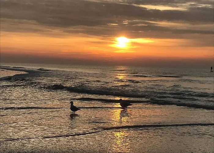 Kik En Bun Bed and breakfast Katwijk aan Zee