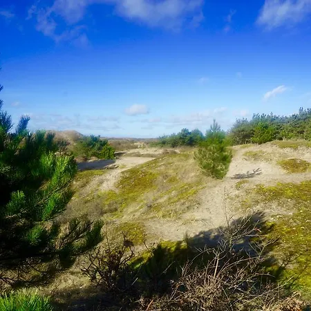 Kik En Bun カトウェイク・アーン・ゼー